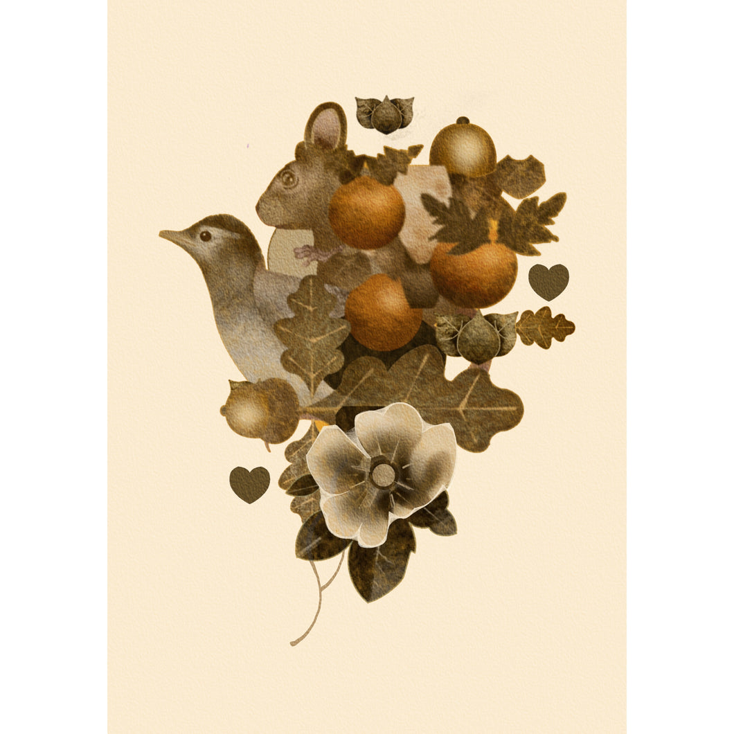 A71. NEW SEASONS ONE