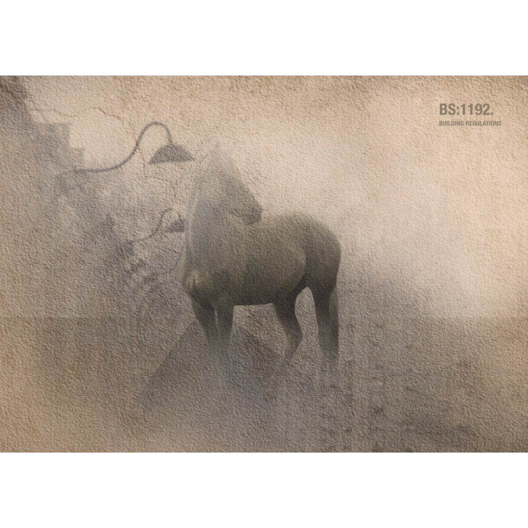 A12    THE LAST BALLET