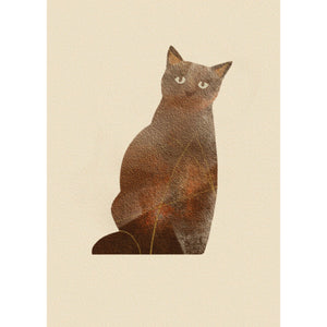 CARD TA16.  (FELINE) - PACK OF SIX (INCLUDING : VAT). - STUDIO CONTEMPORARY