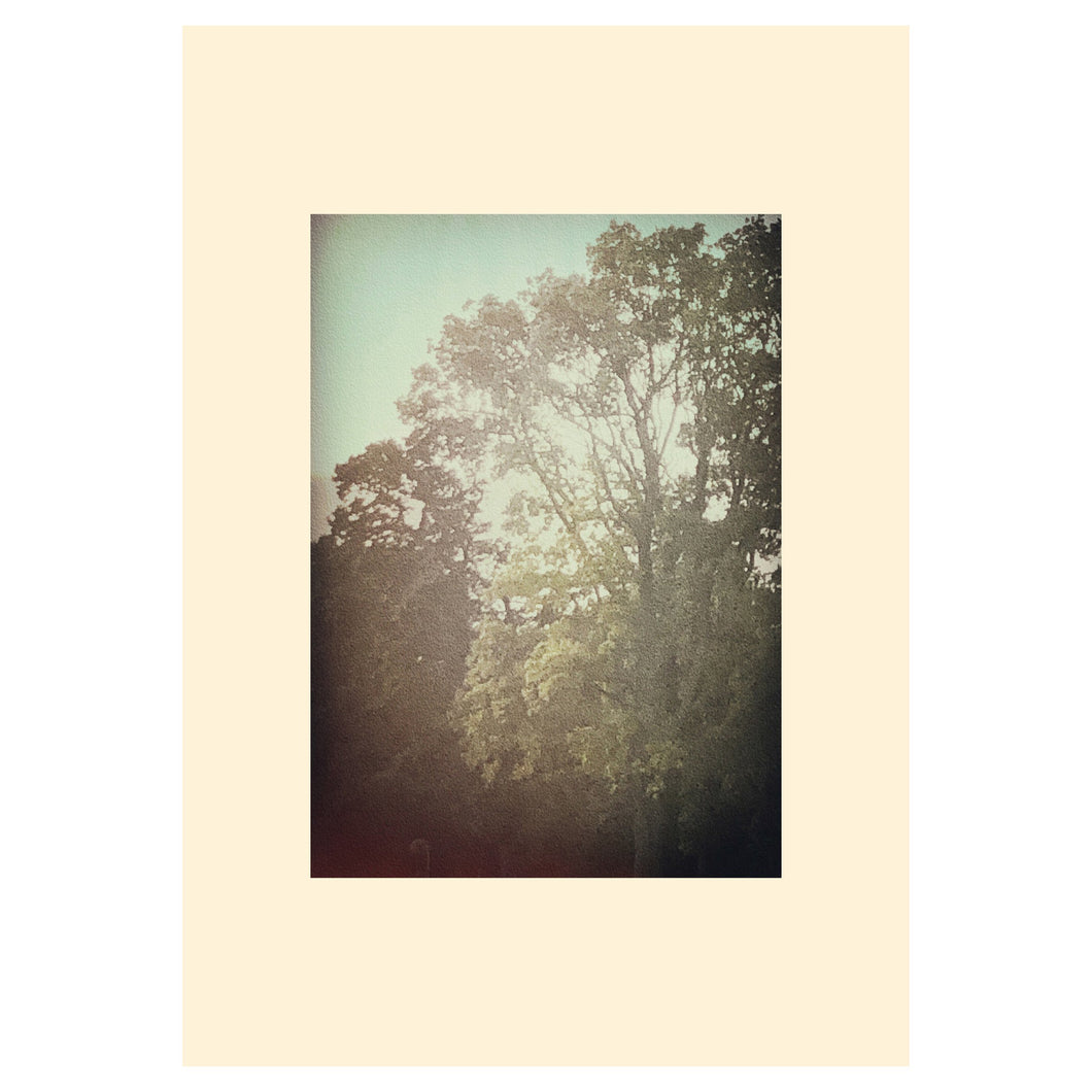 A24 (10 x 8 INCH PICTURE CARD) (plus an extra card and free UK delivery). - STUDIO CONTEMPORARY