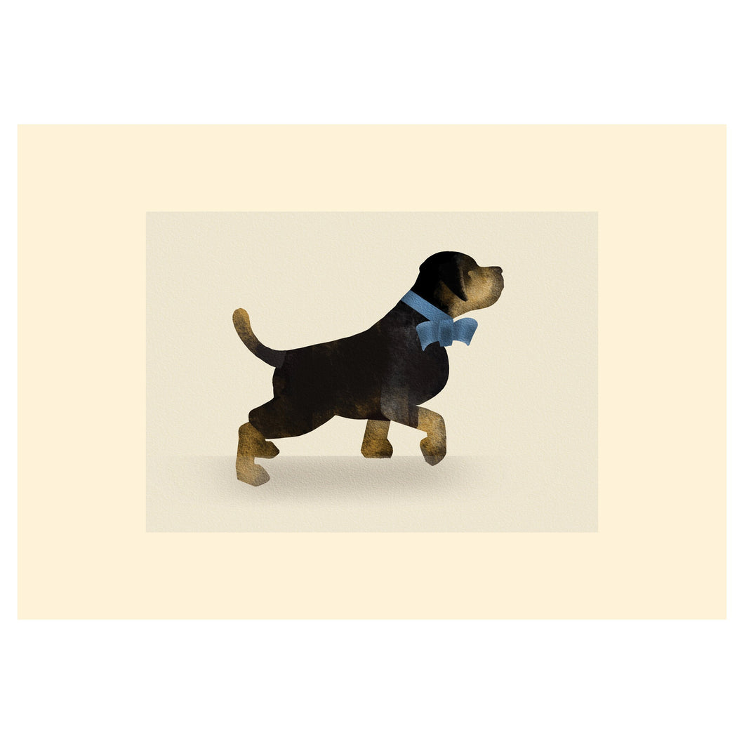 A6.  PUPPY - STUDIO CONTEMPORARY