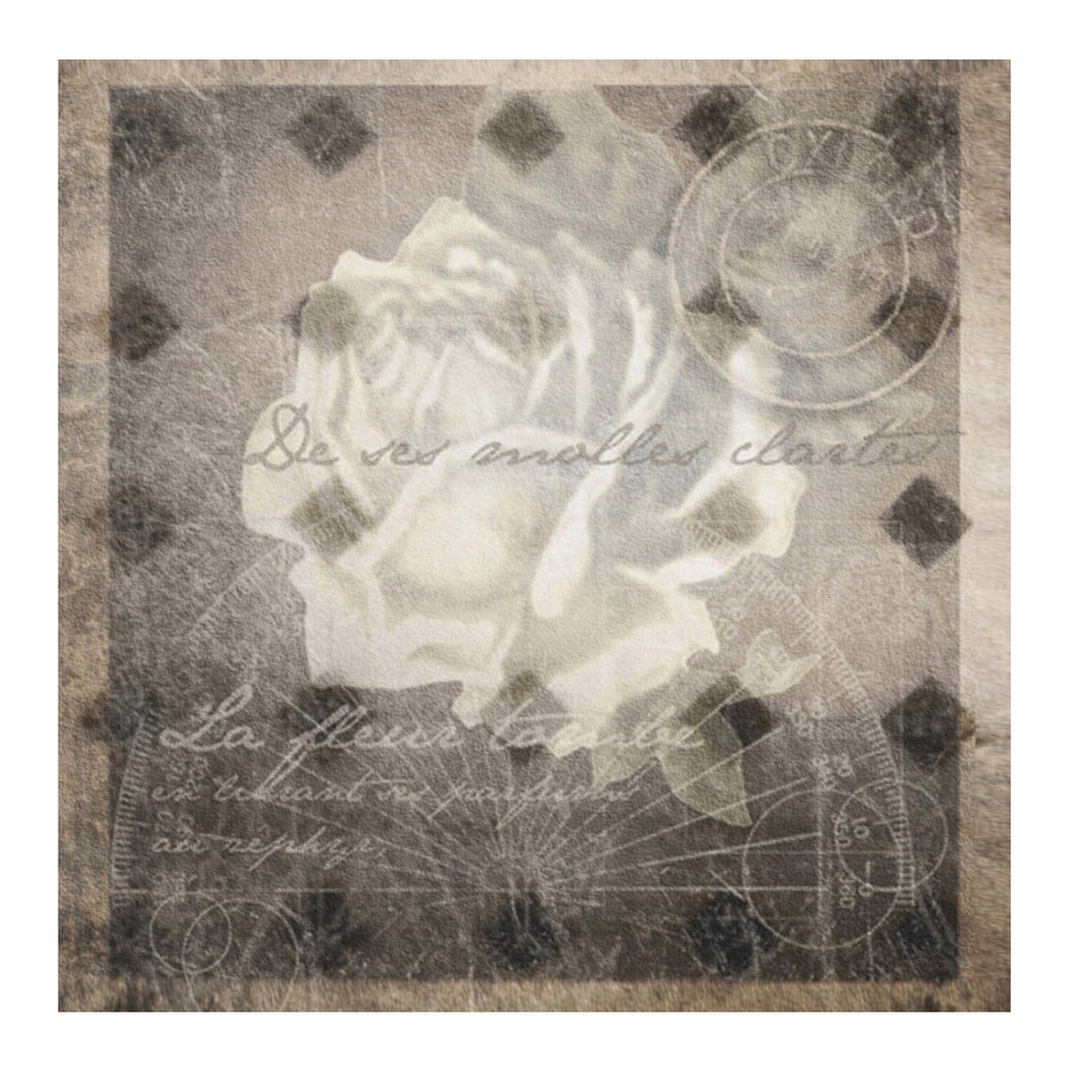 CARD TC10.  (WHITE ROSE)  - PACK OF SIX (INCLUDING : VAT). - STUDIO CONTEMPORARY