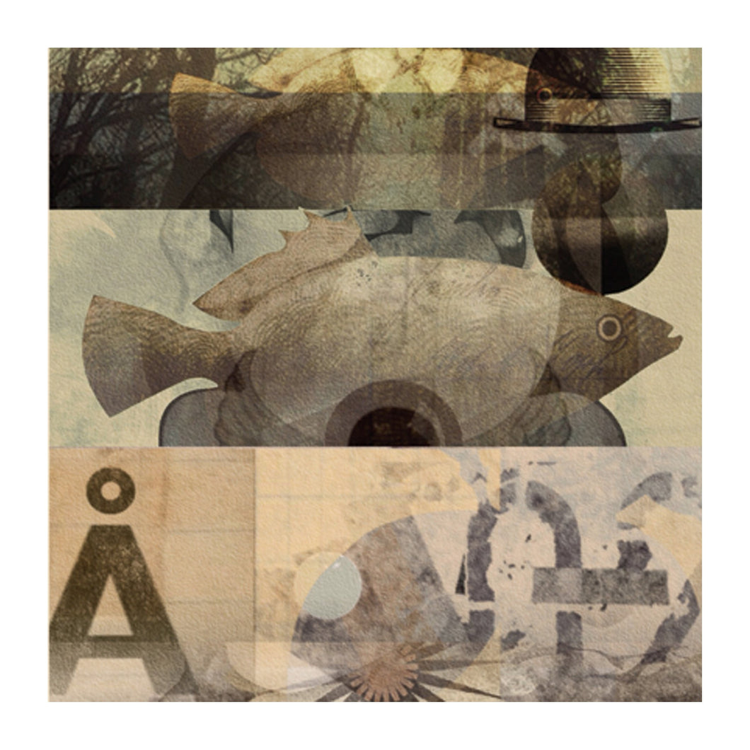 CARD TC26.  (A FISH OUT OF WATER)  - PACK OF SIX (INCLUDING : VAT). - STUDIO CONTEMPORARY