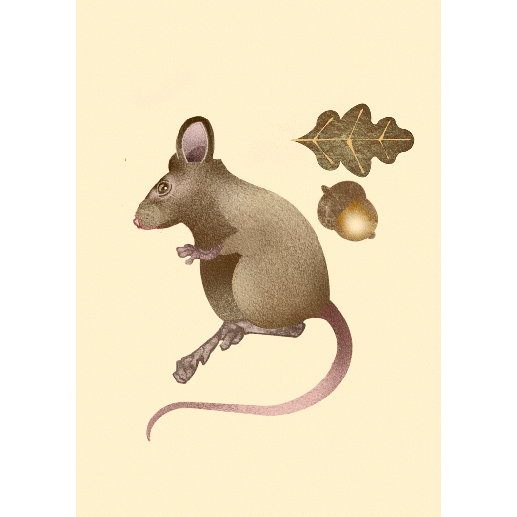 A69. THE WOOD MOUSE & ACORN